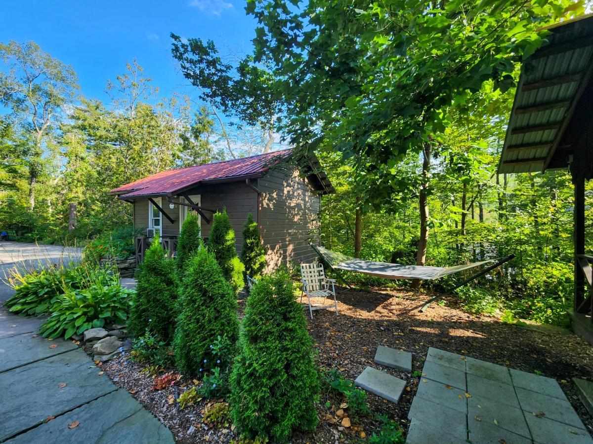 Belleayre Lodge Pine Hill 외부 사진