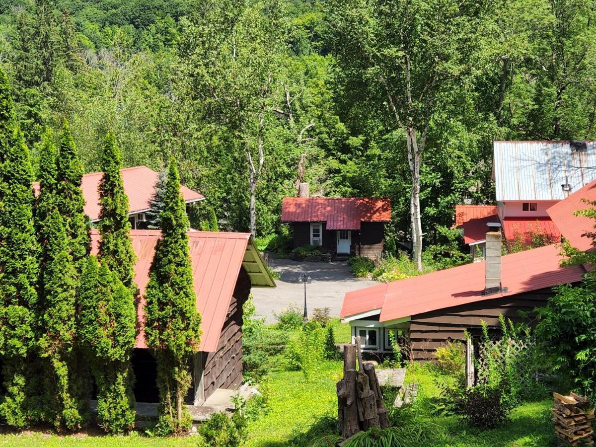 Belleayre Lodge Pine Hill 외부 사진